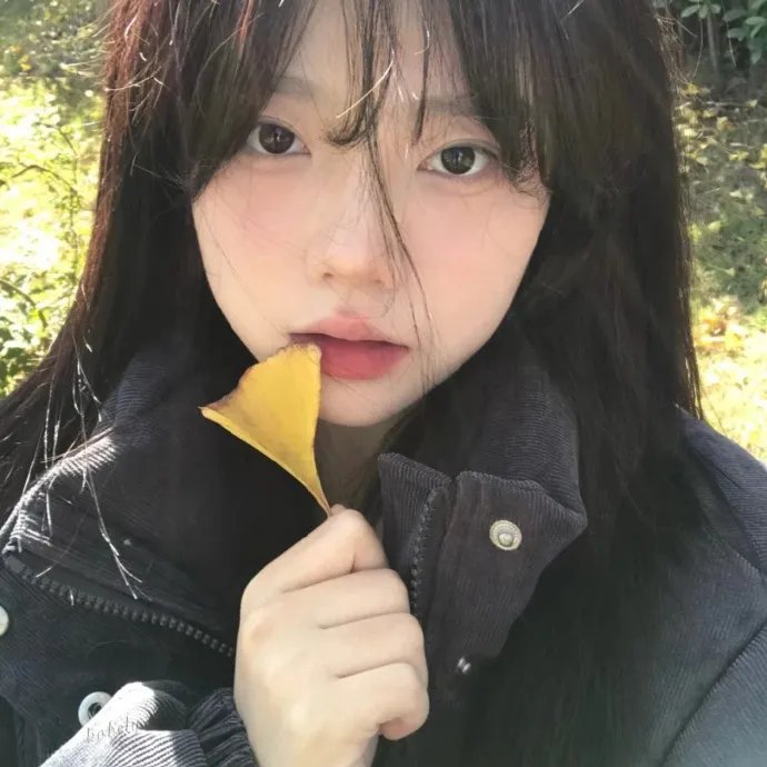 盐与火之歌